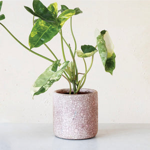 4-3/4" pink terra-cotta planter